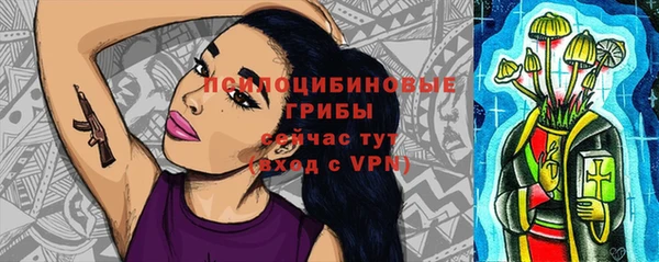 круглые Аркадак